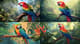 Vibrant Parrot Perched - Figurative Wildlife Art for Bold Wall Decor and Creative Spaces 3