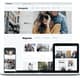 Newsportal Magazine WP Theme - Modern WordPress Theme for News and Magazine Websites 5