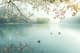 Spring Lakeside View - Serene Landscape Art for Tranquil Spaces and Creative Projects 6