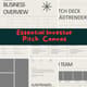 Essential Investor Pitch Canvas - Streamlined Business Proposal & Pitch Deck Templates for Professionals 3