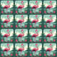 Flamingo Flamenco Patterns - Vibrant Tropical Animal Designs for Creative Print & Digital Projects 1