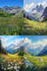 Alpine Meadow Scene - Serene Mountain Landscape Art for Tranquil Spaces and Creative Decor 3