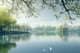 Spring Lakeside View - Serene Landscape Art for Tranquil Spaces and Creative Projects 5