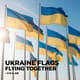 Ukraine Flags Flying Together - Cinematic Military Stock Video for Security and Documentary Projects 2025 4