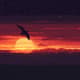 Bird Flying at Sunset Pixel Animation - Vibrant Pixel Art Animation for Indie Games and Creative Projects 5