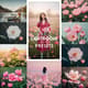 60 Blooming Spring Lightroom Presets - Vibrant Floral Photo Enhancements for Photographers & Creators 1