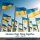 Ukraine Flags Flying Together - Cinematic Military Stock Video for Security and Documentary Projects 2025 6