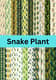 Snake Plant Modern Patterns - Sleek Botanical Animal & Nature Motifs for Creative Printables and Digital Design 6