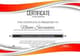 150 Mega Certificate Design CDR Pack - Premium Editable Virtual Certificates for Professional Recognition and Events 3