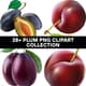 28+ Plum PNG Clipart Collection - Vibrant Food and Beverage Illustrations for Designers and Creators 1