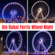 Ain Dubai Ferris Wheel Night - Cinematic Urban Stock Video for Creative Cityscape Projects and Visual Storytelling 3