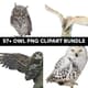 57+ Owl PNG Clipart Bundle - Premium Wildlife Illustrations for Creative Projects and Branding 3