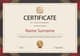 100+ Advanced Certificate Templates Pack - CDR Edition - Professional Editable Certificates for Businesses and Educators 4