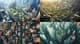 Horizon Vista Panoramic City View - Immersive Digital Urban Environment for Creators & Designers 2025-2026 1