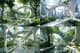 Eden Circuit Neo-Nature Oasis - Futuristic Digital Concept Environments for Immersive Creative Projects 1