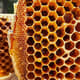 Honeycombs Bees Honey Close Up - Cinematic Nature Stock Video for Wildlife and Weather Storytelling 6