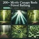 200+ Mystic Canopy Reels - Forest Bathing - Cinematic Nature Reels for Immersive Wellness and Creative Video Projects 5