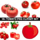 14+ Tomato PNG Clipart Set - Vibrant Food & Beverage Illustrations for Creative Designers and Marketers 3