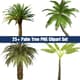 25+ Palm Tree PNG Clipart Set - Vibrant Nature & Landscape Illustrations for Creative Projects and Branding 1