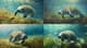 Gentle Giant Seagrass Pasture - Immersive Digital Underwater Environment Art for Creators and Studios 6