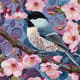 12 Songbird Symphony Patterns - Elegant Nature-Inspired Animal Pattern Designs for Creative Projects and Printables 4