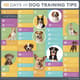 100 Days Dog Training Tips Free Advanced Training Techniques - Expert Guide for Effective Canine Training and Behavior Mastery 4
