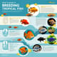 How to Breed Tropical Fish Step-by-Step Aquatic Guide - Comprehensive Tropical Fish Breeding Manual for Hobbyists and Aquaculture Enthusiasts 4