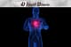 Beating Heart Anatomy - Cardiovascular Health Visualization - Cinematic Motion Graphics for Medical Education and Health Campaigns 3