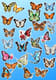 Garden Wings Butterfly Pack - Vibrant Animal & Pet Sticker Bundle for Creative Projects and Personal Branding 1