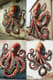 Wall Crawler Cephalopod Street Invasion - Dynamic 3D Graffiti Art for Urban Creatives and Visual Storytelling 3