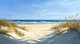 Sandy Beach with Dunes - Serene Seascape Landscape Art for Relaxing Spaces and Creative Projects 1