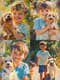 Impressionistic Portrait of a Young Boy with a Dog - Expressive Impressionistic Portrait Art for Emotional Home & Gallery Decor 5