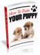 How to Train Your Puppy Potty, Obedience & Daily Habits - Practical Puppy Training Guide for New Pet Owners and Enthusiasts 3