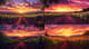 Vineyard Sunset Glow - Serene Sunset & Sunrise Landscape Art for Tranquil Home and Office Decor 3