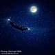 Flying Sleigh Ride - Christmas Night Sky Loop - Cinematic Holiday VFX for Festive Video Projects and Seasonal Content 4