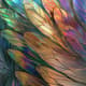 Abstract Insect Wings - Whimsical Biometric Abstract Art for Creative Designers and Contemporary Decor 6