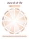 Life Wheel Classic Ivory Minimal Planner - Streamlined Productivity Planner for Professionals and Creators 3