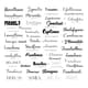1000+ Typography Titles & Quote PNGs - Versatile Mixed Typography Graphics for Creative and Commercial Use 5