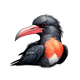 50+ Colorful Flyers Bird Pack - Vibrant Animal Sticker Collection for Creative Branding and Personal Projects 3