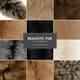 Realistic Fur Texture Brushes Photoshop - Premium Fur Detailing Brushes for Digital Artists and Photo Editors 1