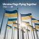 Ukraine Flags Flying Together - Cinematic Military Stock Video for Security and Documentary Projects 2025 5