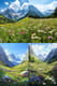 Alpine Meadow Wall Art - Serene Landscape Canvas for Tranquil Home & Office Decor 1