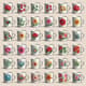 125+ Universal Mug Prints Bundle - Versatile Graphic Designs for Creative Mug Customization and Personal or Commercial Use 6