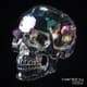 Crystal Skull Illusion Transparent 3D Render - Stunning 3D Motion Graphics with Crystal Clear Effects for Video Creators and Visual Artists 5