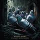Pigeons from Hell - Southern Gothic Horror Collection for Immersive Storytelling and Dark Fiction Fans 6