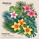 Tropical Stamp Brush Collection - Vibrant Digital Brushes for Lush, Tropical-Inspired Artwork and Design Projects 4