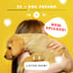 Pet Podcast - Yellow Animated Post - Vibrant Animated Social Media Template for Engaging Pet Content Creators 3