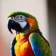 Colorful Parrot Close Up - Vibrant Wildlife Stock Video for Nature Documentaries and Creative Media 5
