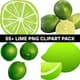 55+ Lime PNG Clipart Pack - Vibrant Food & Beverage Vector Art for Creative Projects and Branding 4