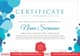 100+ Professional Certificates Mega Pack - Premium Virtual Certificate Designs for Business, Education & Personal Recognition 3